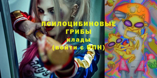 сатива Дмитров
