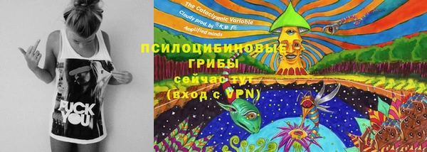 мдма Дмитровск