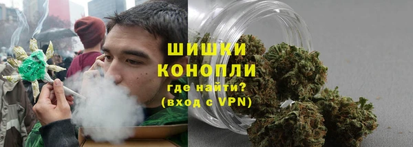 сатива Дмитров