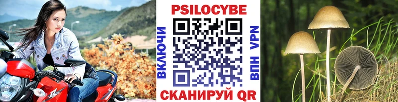 Купить где Плёс Галлюциногенные грибы прущие грибы